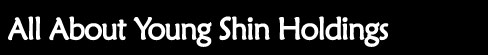 All About Young Shin Holdings
